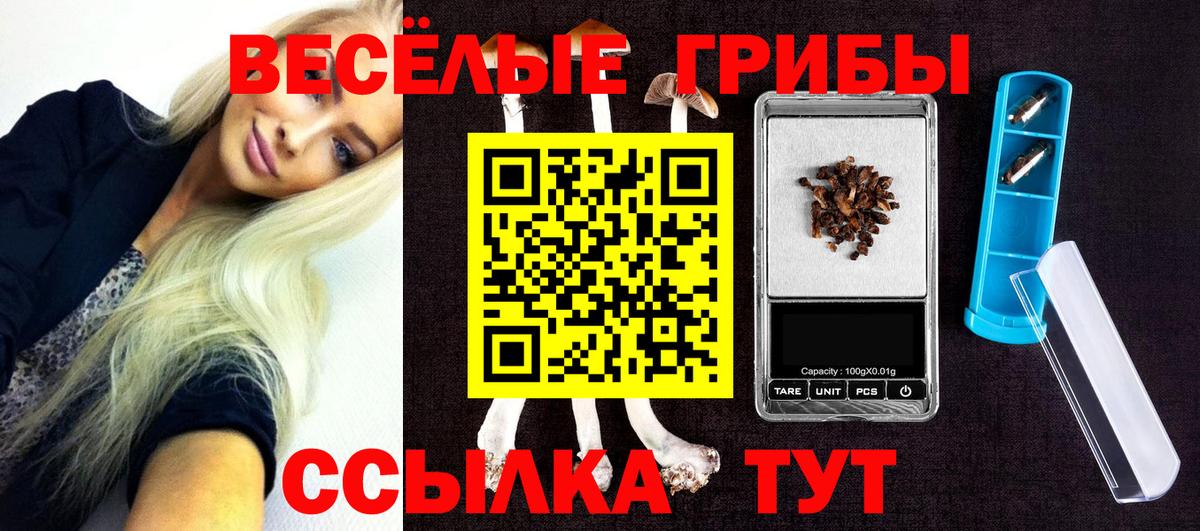 Гатчина  Галлюциногенные грибы Cubensis  Вход с VPN  Псилоцибиновые грибы Psilocybine cubensis 