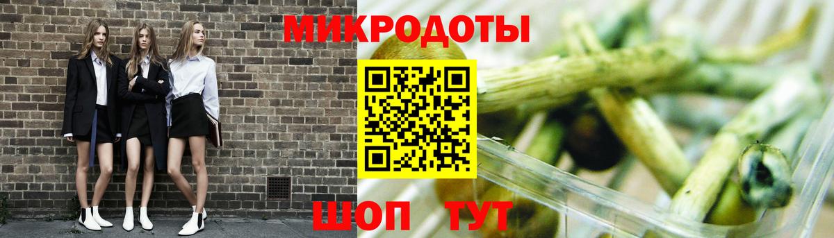 Псилоцибиновые грибы Psilocybe Гатчина